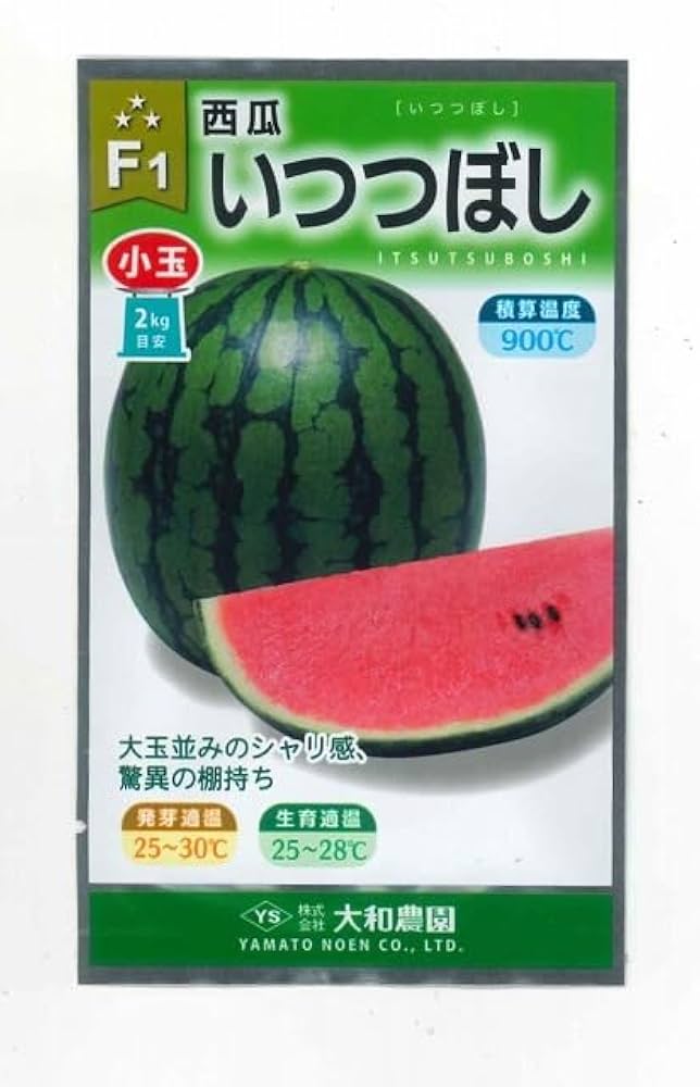 Amazon.co.jp: 〈小袋〉小玉スイカ種 【 いつつぼし 】大和農園